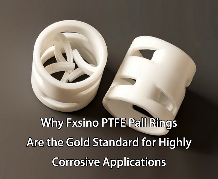 为什么 Fxsino PTFE 鲍尔环是高腐蚀性应用领域的黄金标准